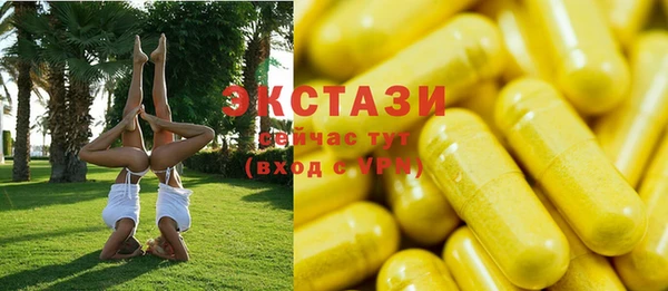 МДПВ Пересвет