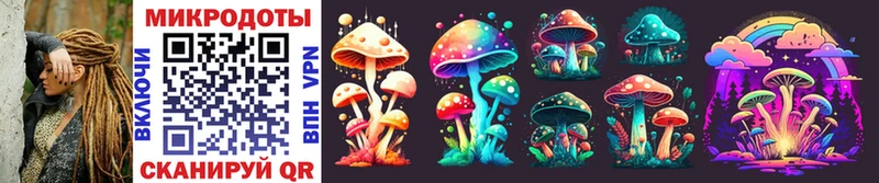 Галлюциногенные грибы Magic Shrooms  Николаевск 